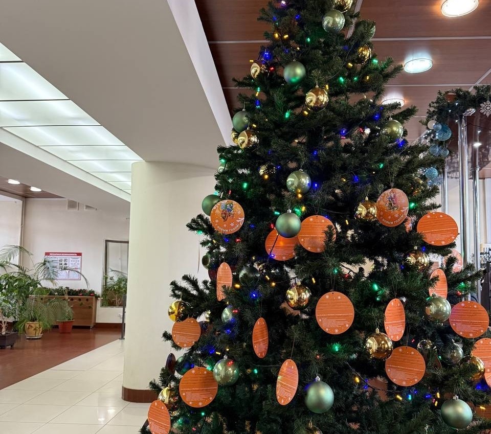 На Бору стартовала акция "Мандарин"