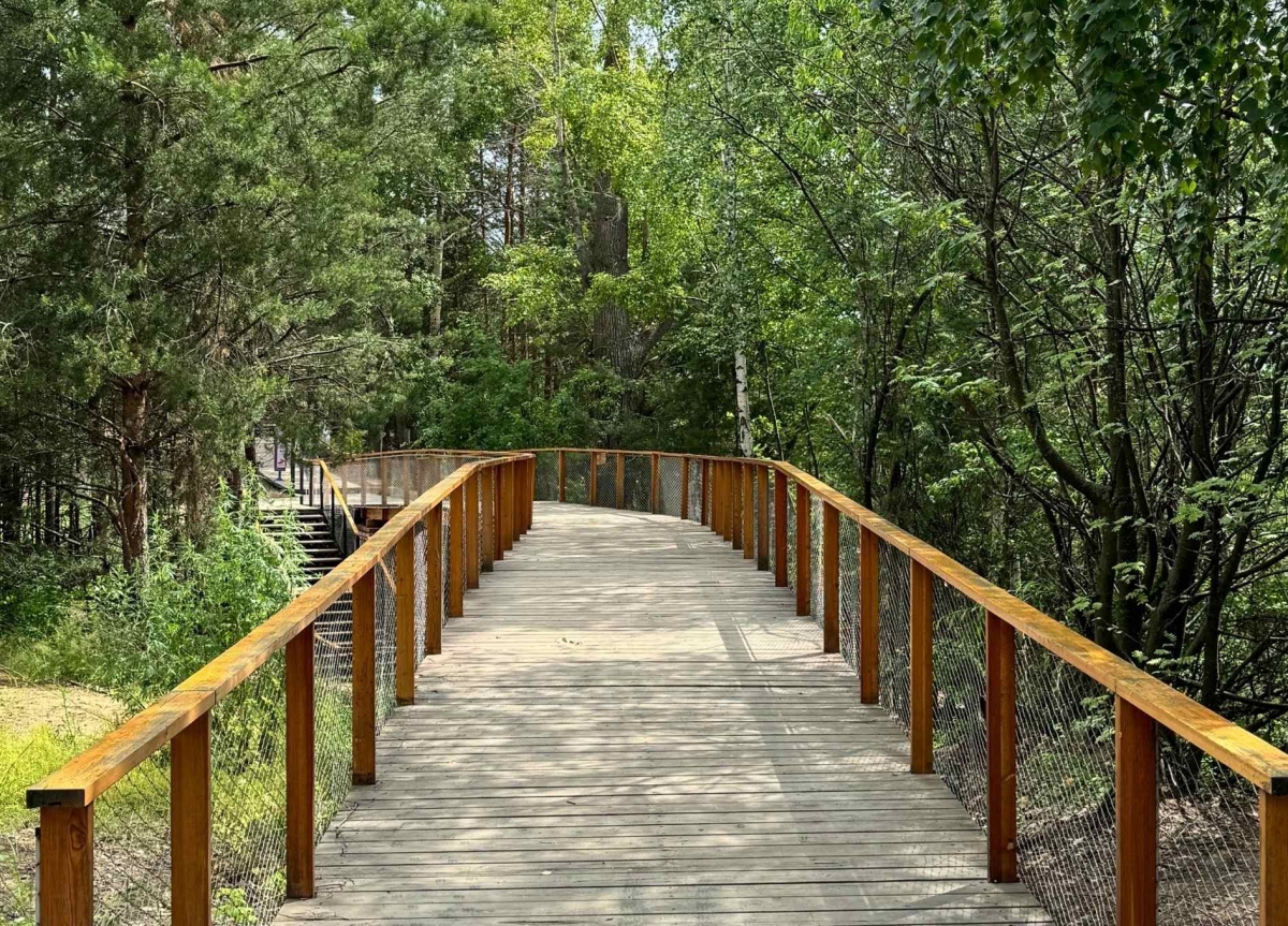 В России всего один город с названием Бор!