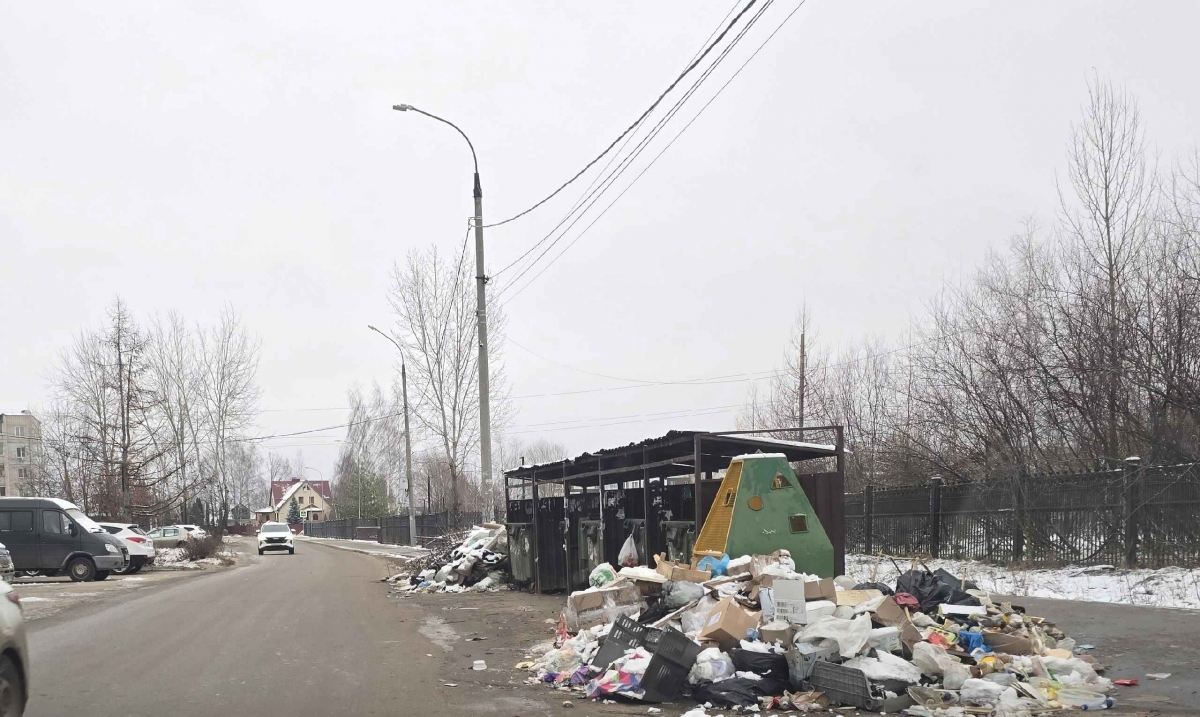 Алексей Боровский призвал борчан не «закапывать деньги в мусор»