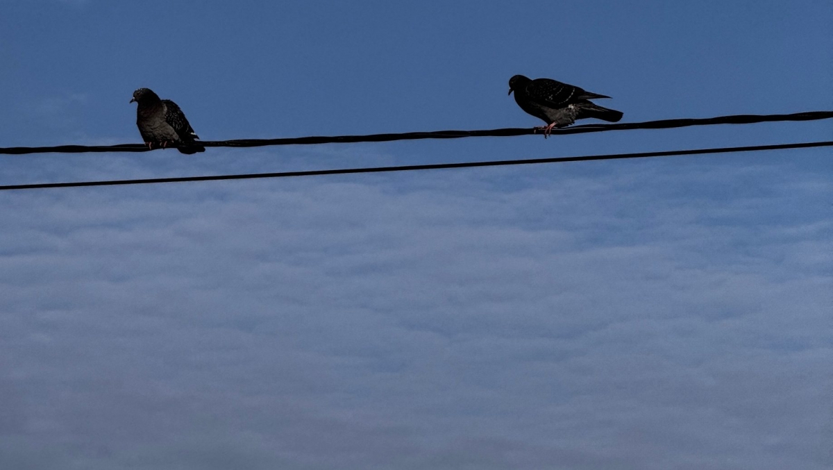 Отключение электроэнергии на Бору 11 ноября