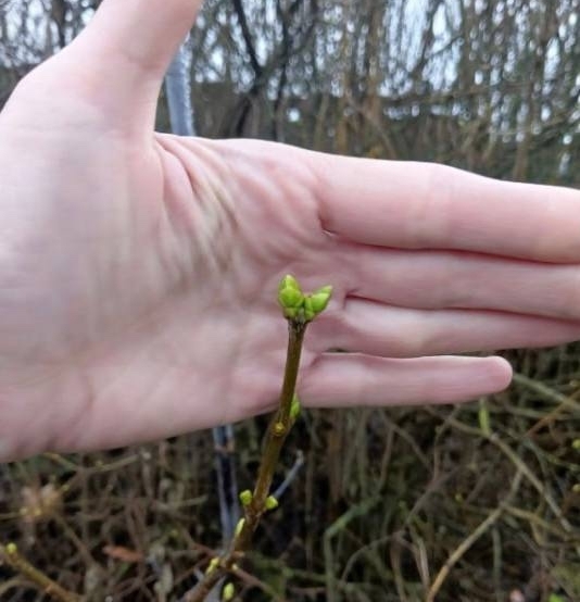 Очень необычный ноябрь в этом году