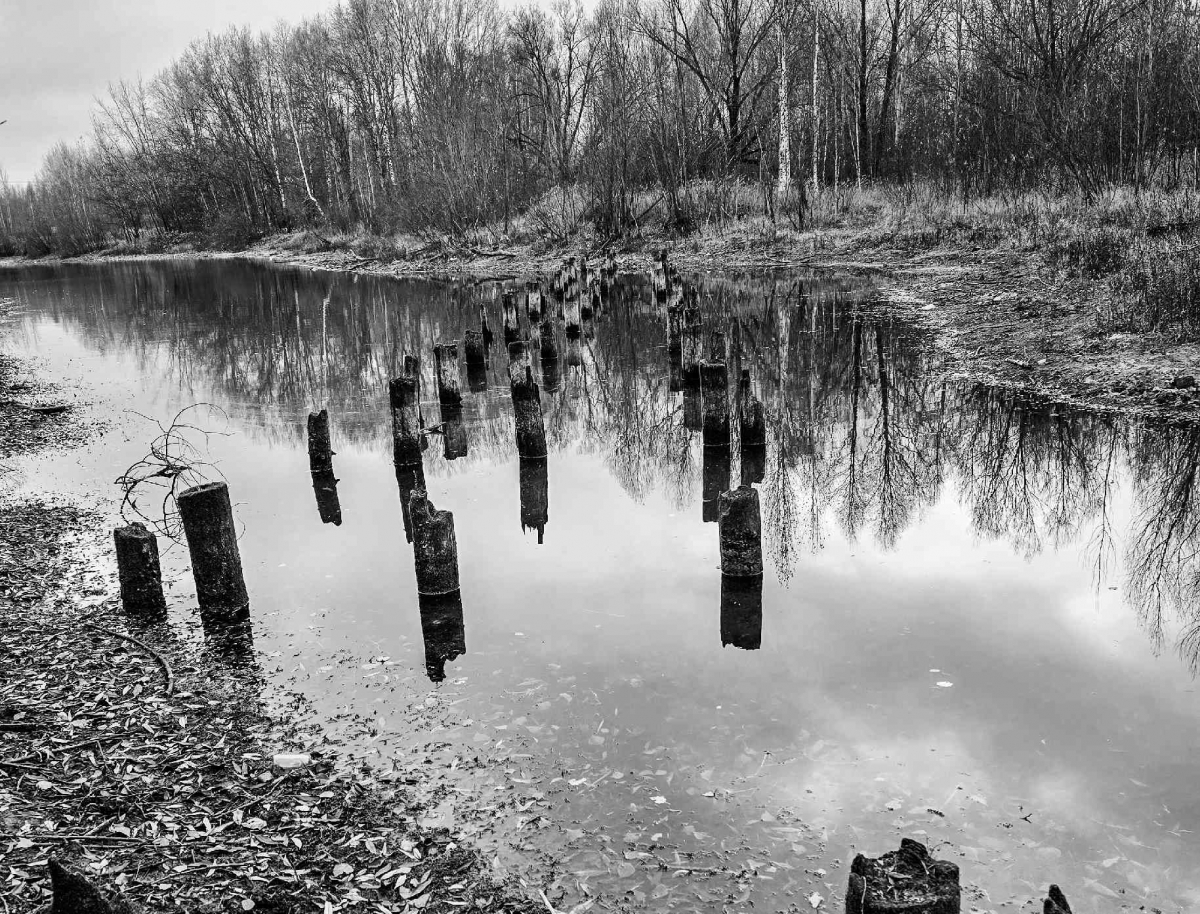 От интересующегося подписчика