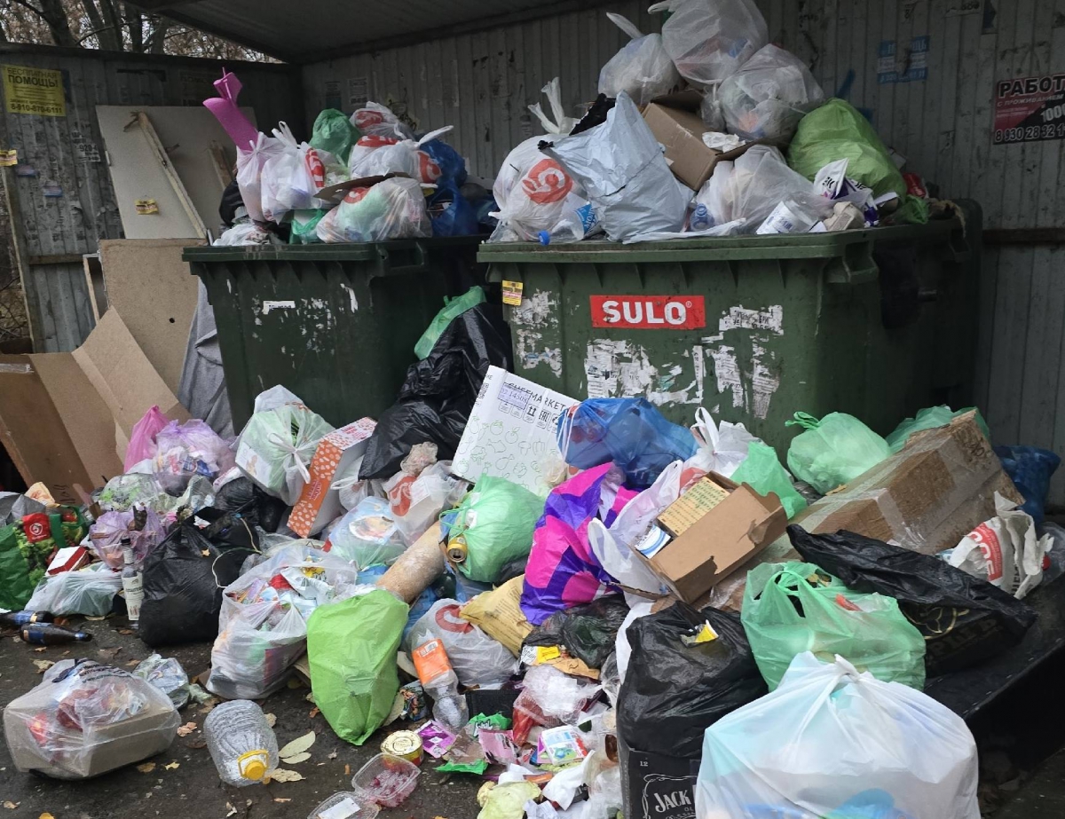 На Бору ликвидируют 15 несанкционированных свалок