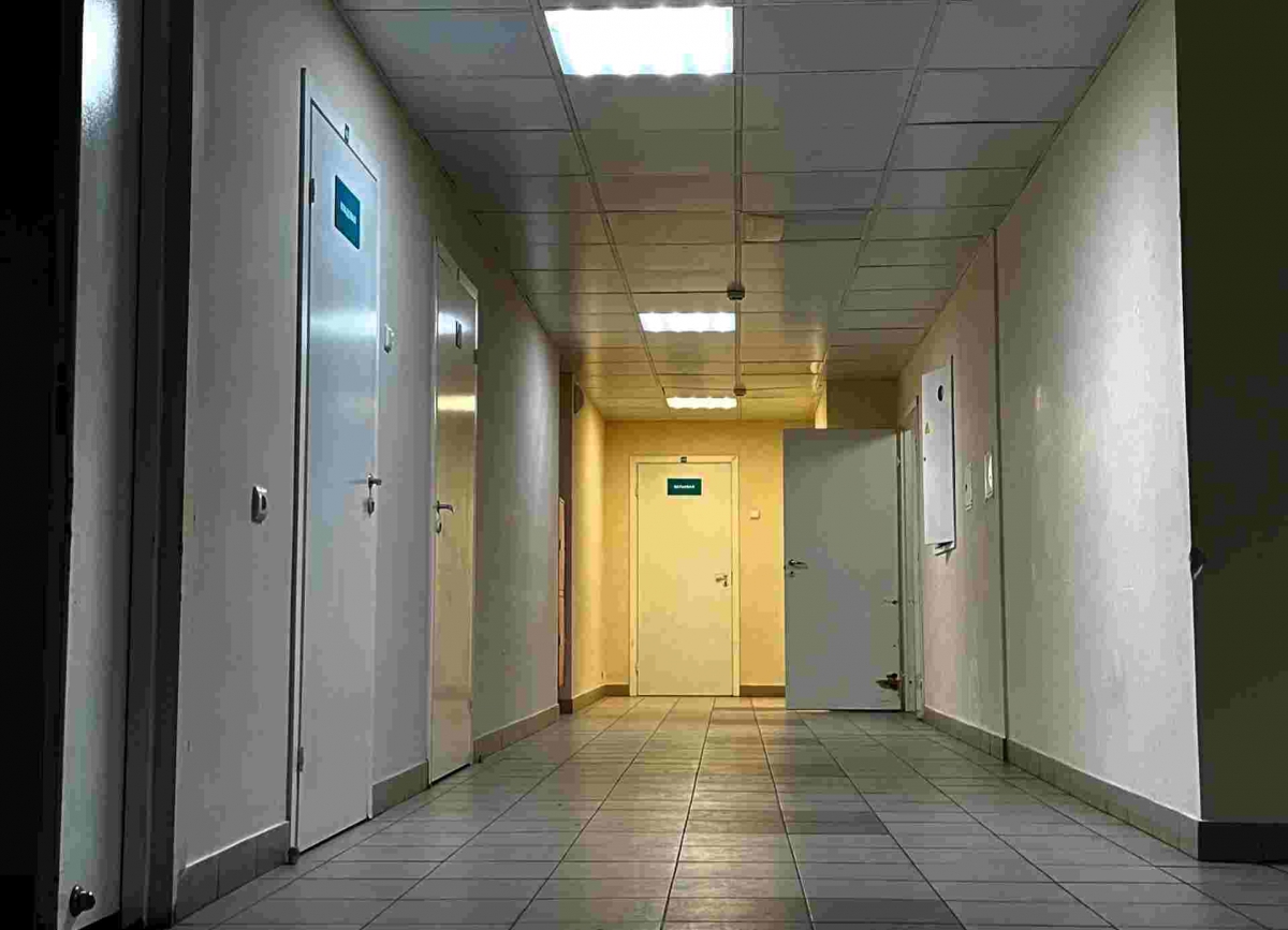 Про гонконгский грипп