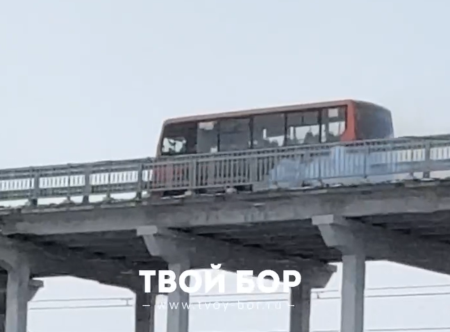 Суровые борские автобусы