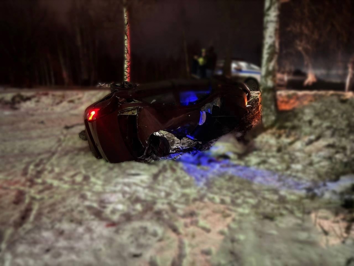 В выходные произошло страшное на Борской дороге