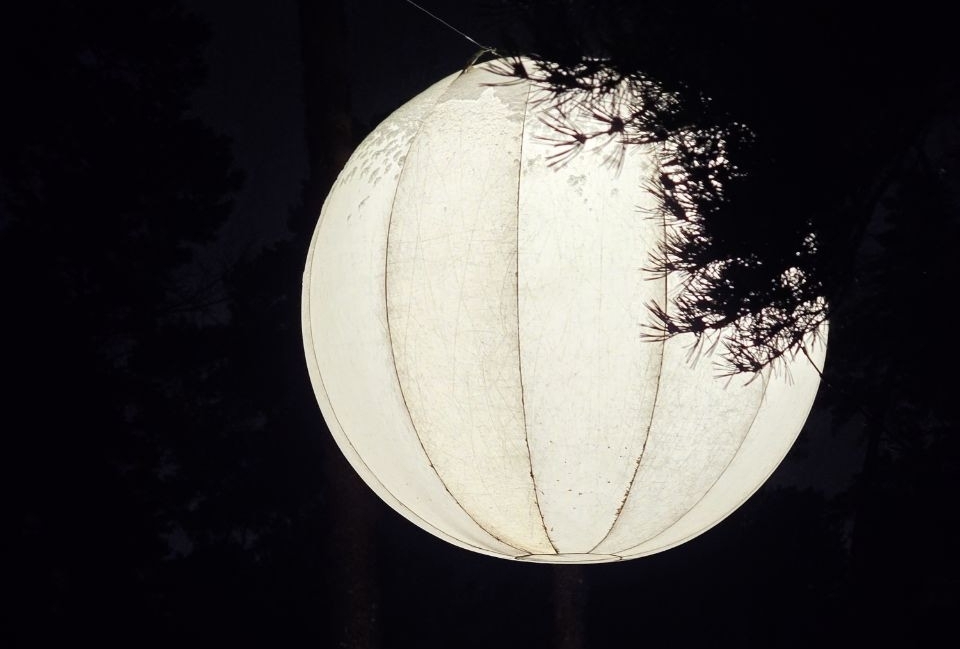 Световой день на Бору начнет прибывать