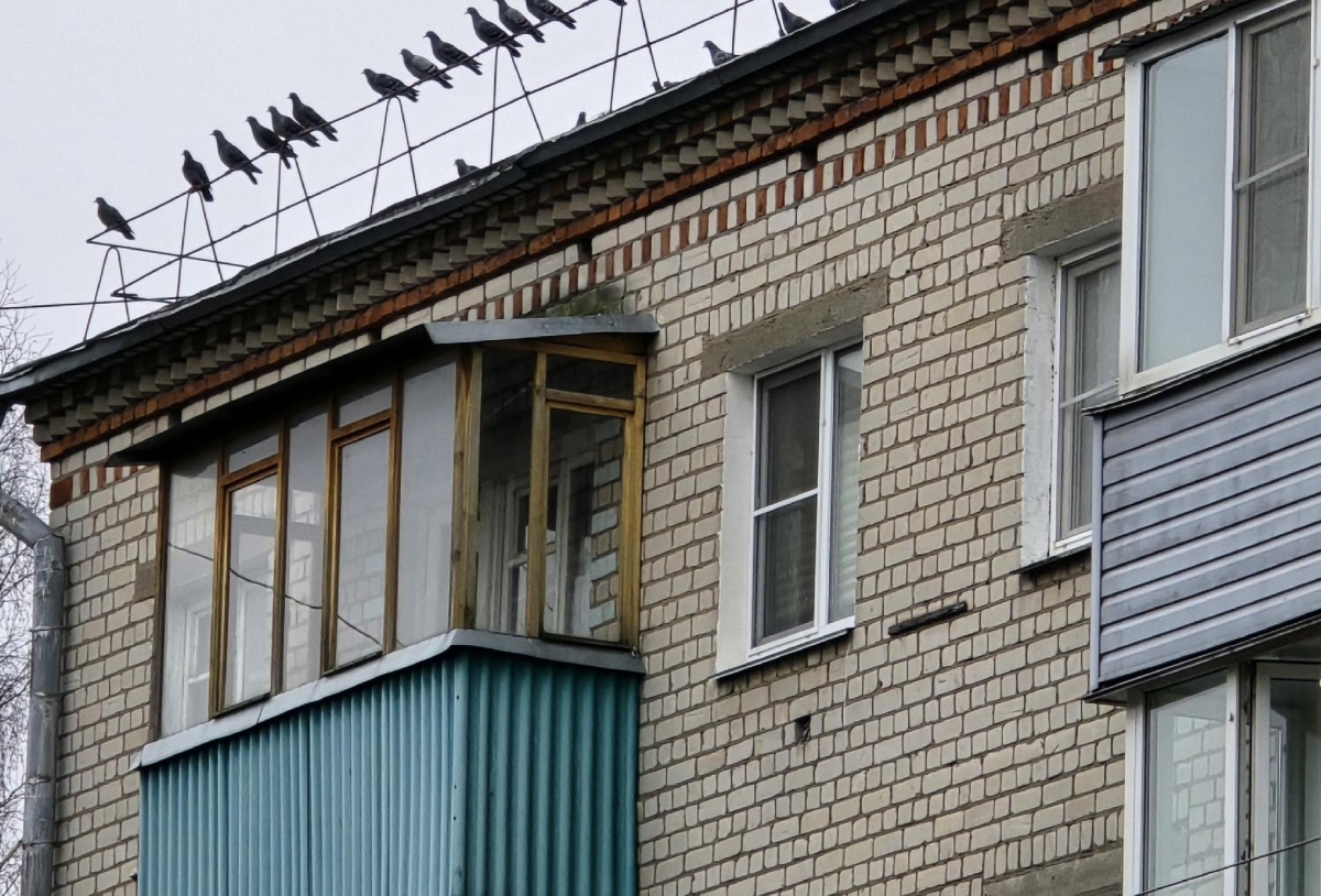 Плата за коммунальные услуги вырастет в 2026 году дважды