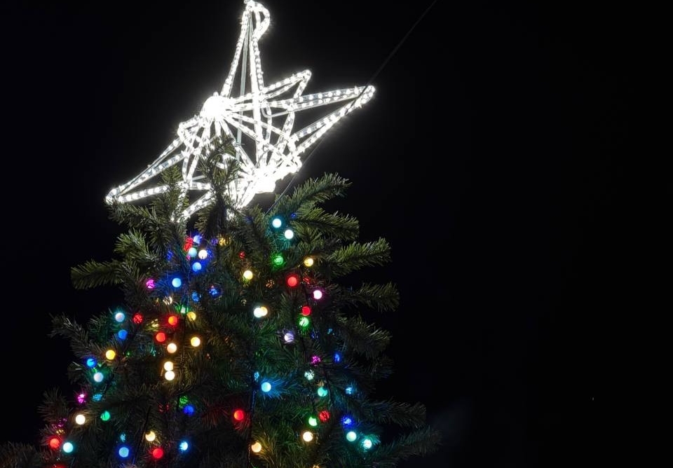 Борчанка поделилась новогодней историей из детства