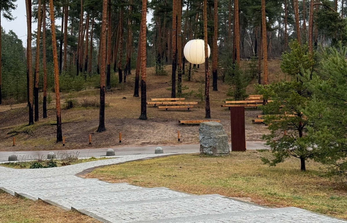 Отключение электроэнергии на Бору 10 декабря