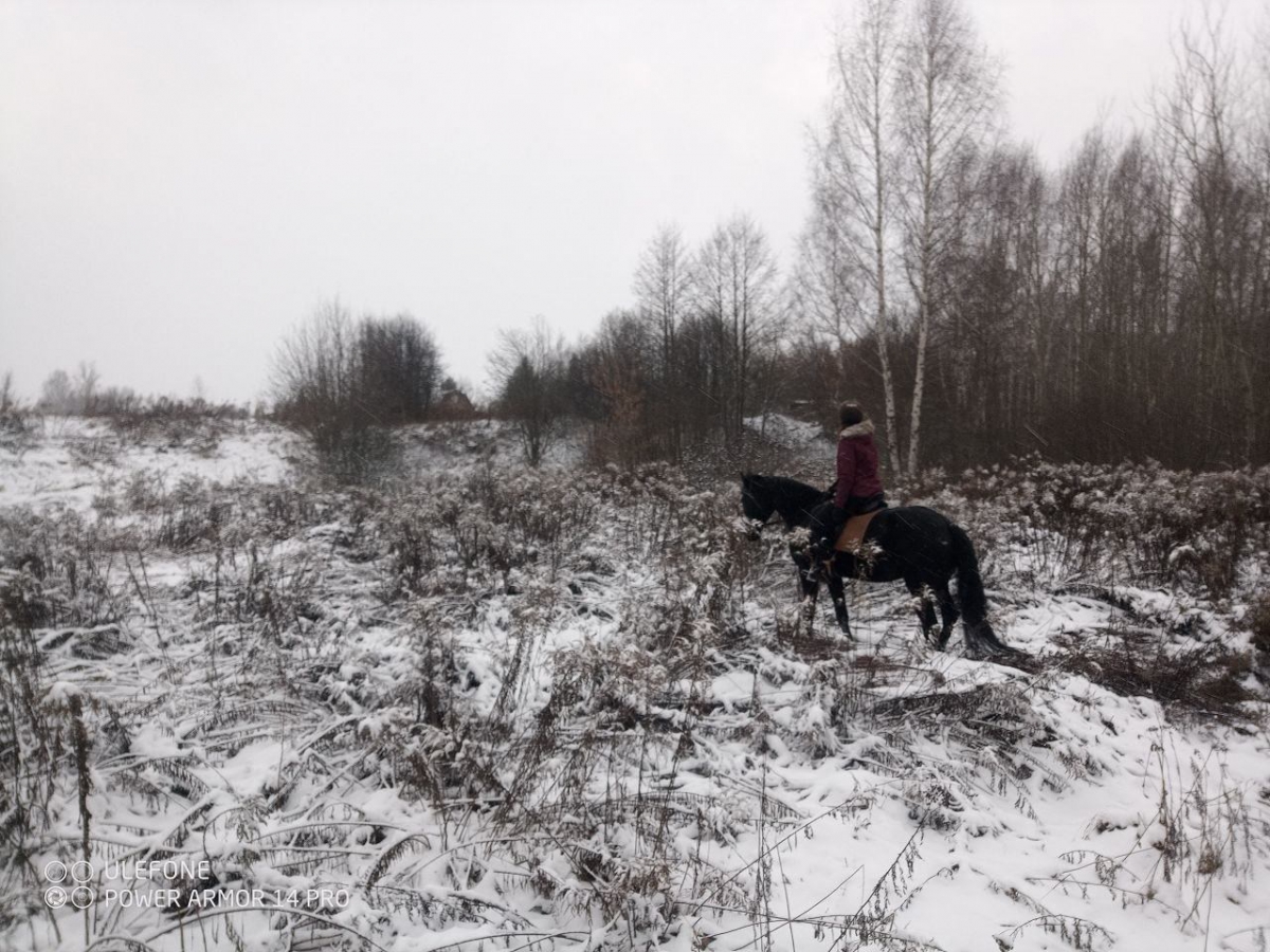 Поиск Руина Александра Лаврентьевича, пропавшего 1 декабря в Борском районе, продолжается