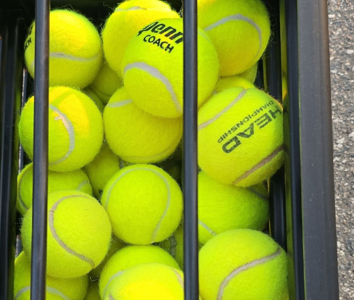 Борские любители большого тенниса здесь?