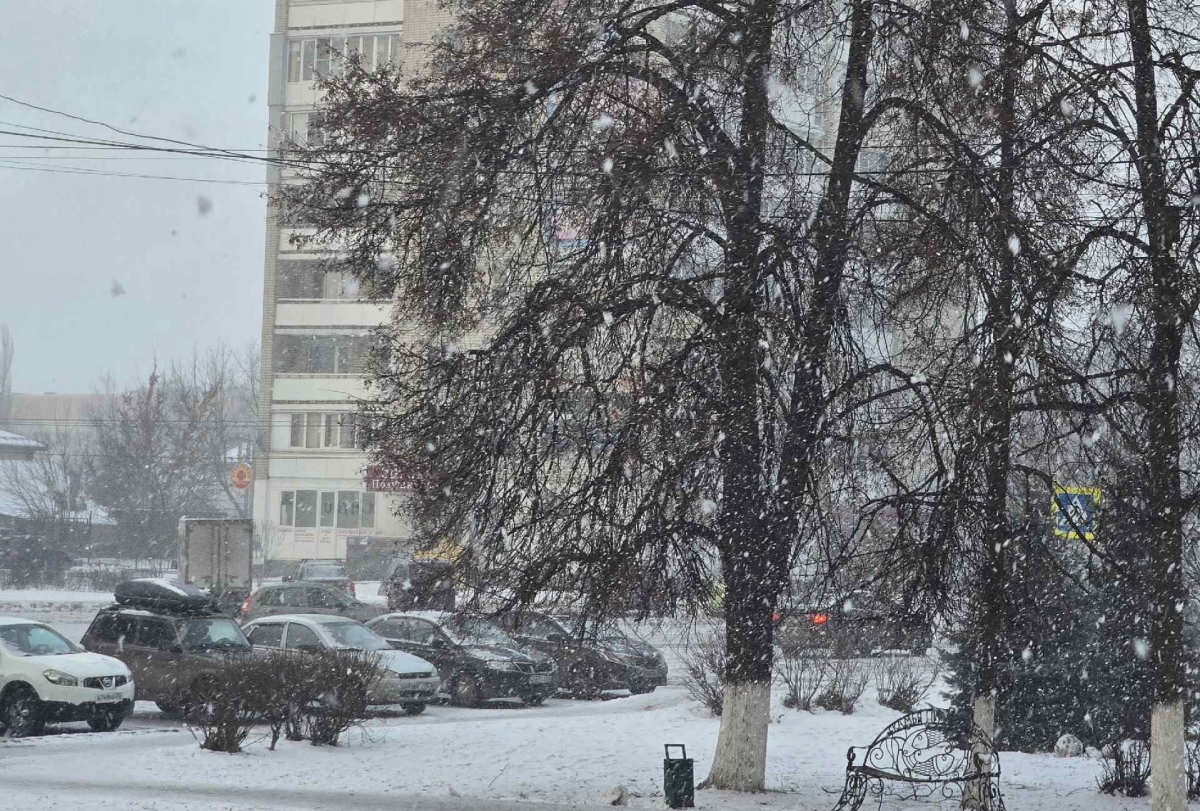 Зима на Бору постоит еще два дня, а потом опять оттепель