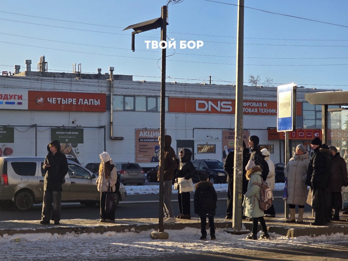 Новогодний «подарок»