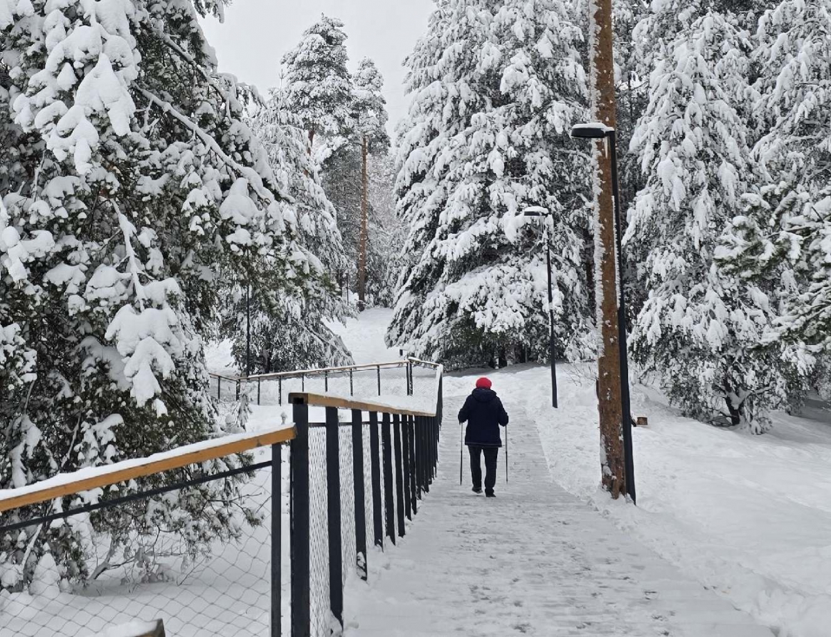 Каждый пенсионный балл теперь оценивается в 65 600 рублей