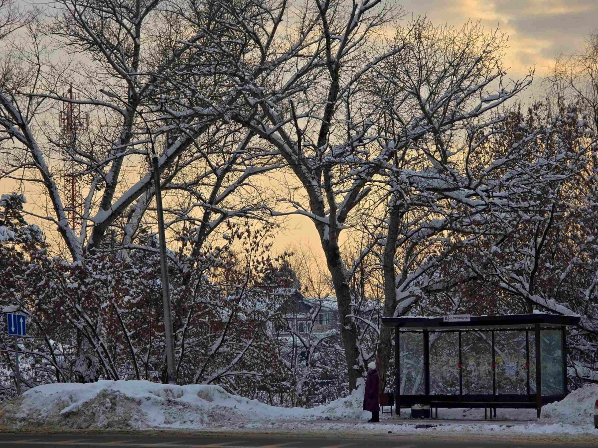 Где узнать расписание Борских автобусов?