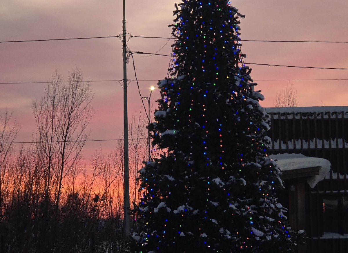 Борчане, пора прощаться с новогодьем