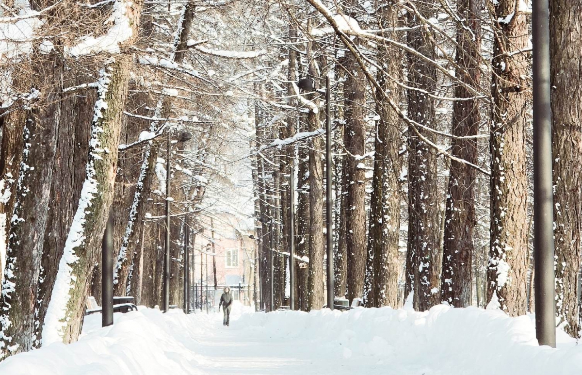 Снова снег!