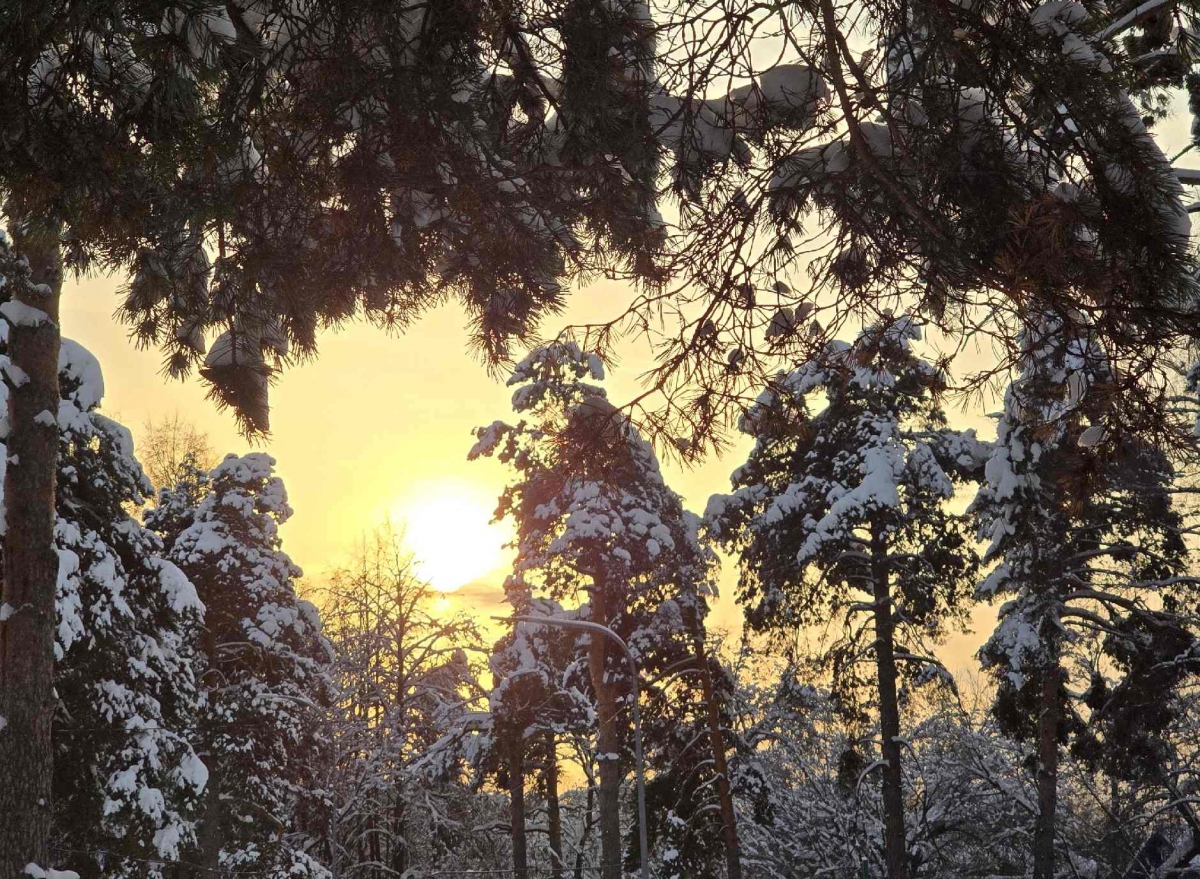 В Борском округе переименованы сразу несколько населённых пунктов