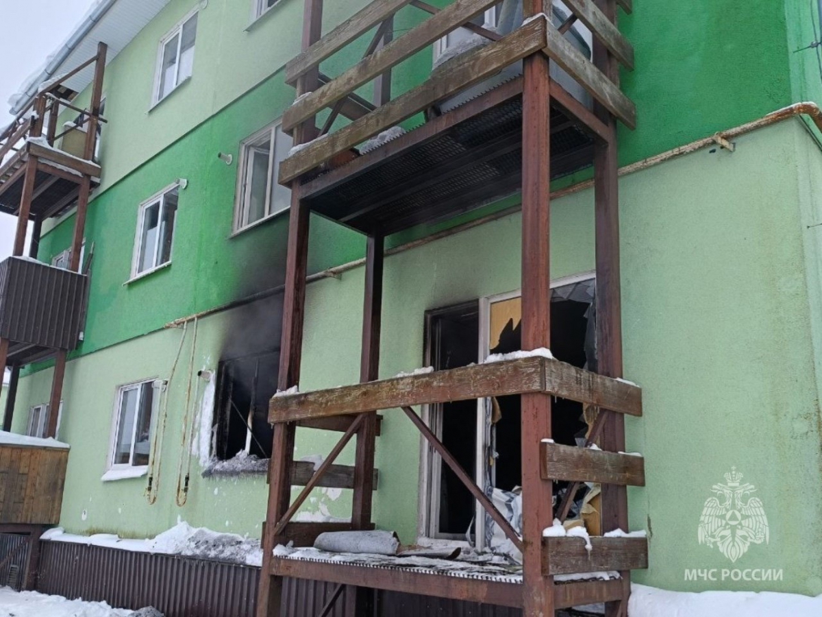 В пожаре на Бору погиб мужчина