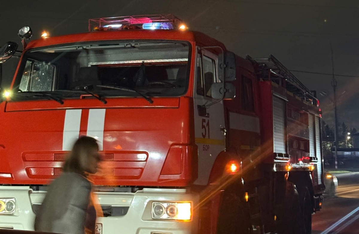 В пожарах на Бору погибло более 40 человек