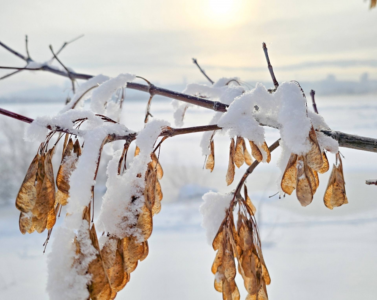 МЧС информирует: