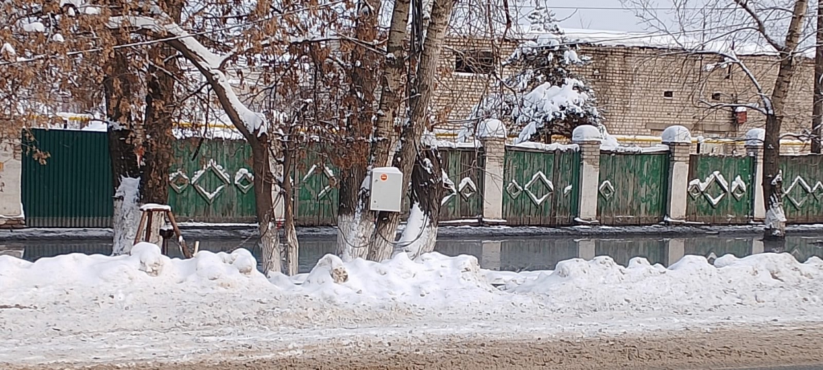 Борчане бьют тревогу