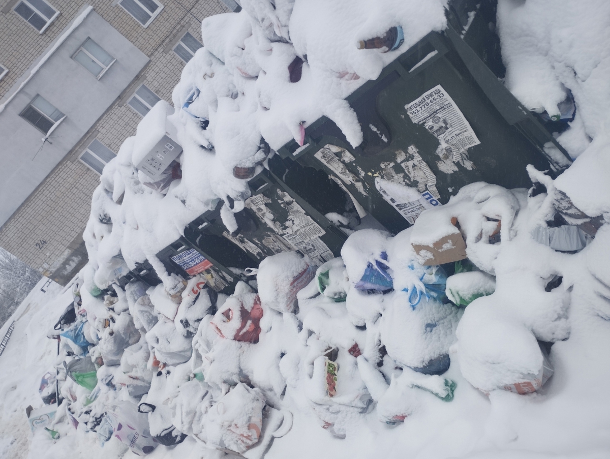 Региональный оператор по вывозу отходов «осознаёт обеспокоенность граждан»