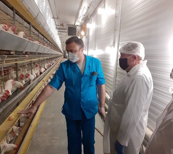 Линдовскую птицефабрику» хотят признать банкротом