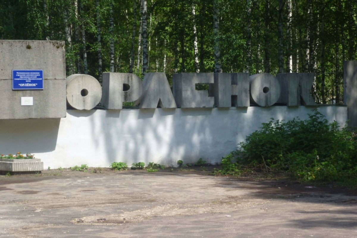 Информация для родителей, которые планируют отправить детей в Орлёнок
