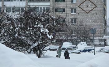 С 1 февраля материнский капитал, детские пособия и другие выплаты увеличатся на 5,6%