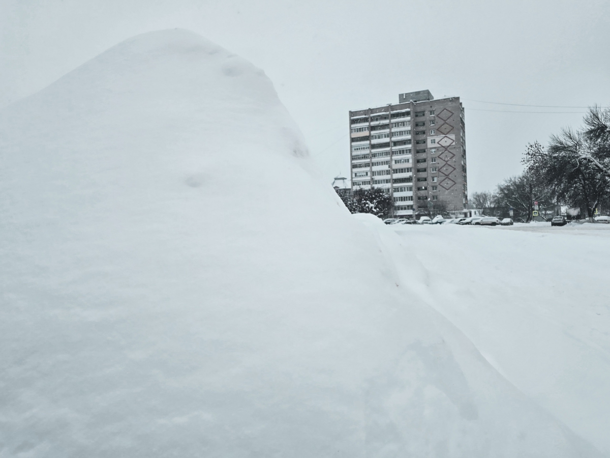 Борский шедевр народного творчества