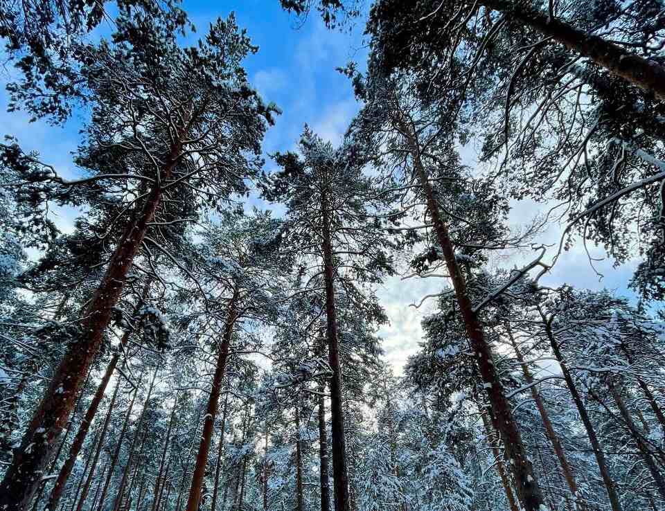 Чем заняться на каникулах?