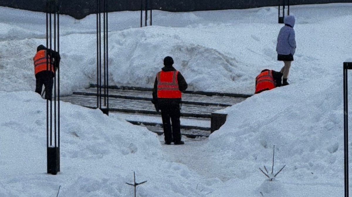 Снежная тема