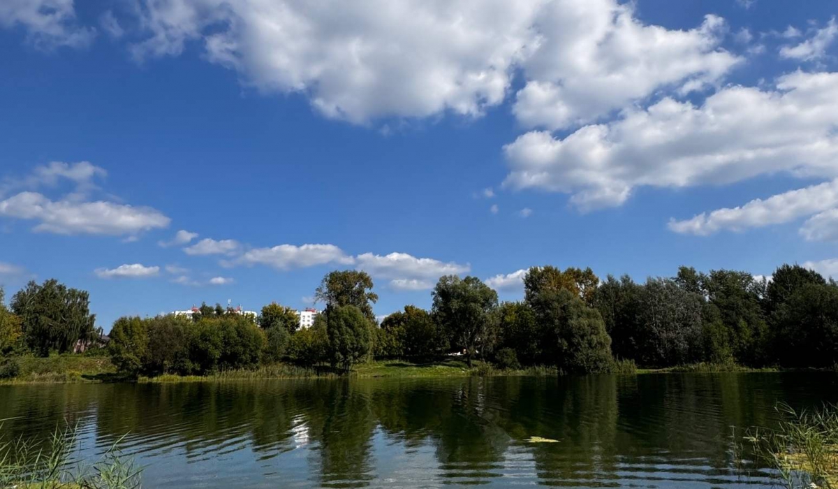 Аллергики, для вас отличная новость