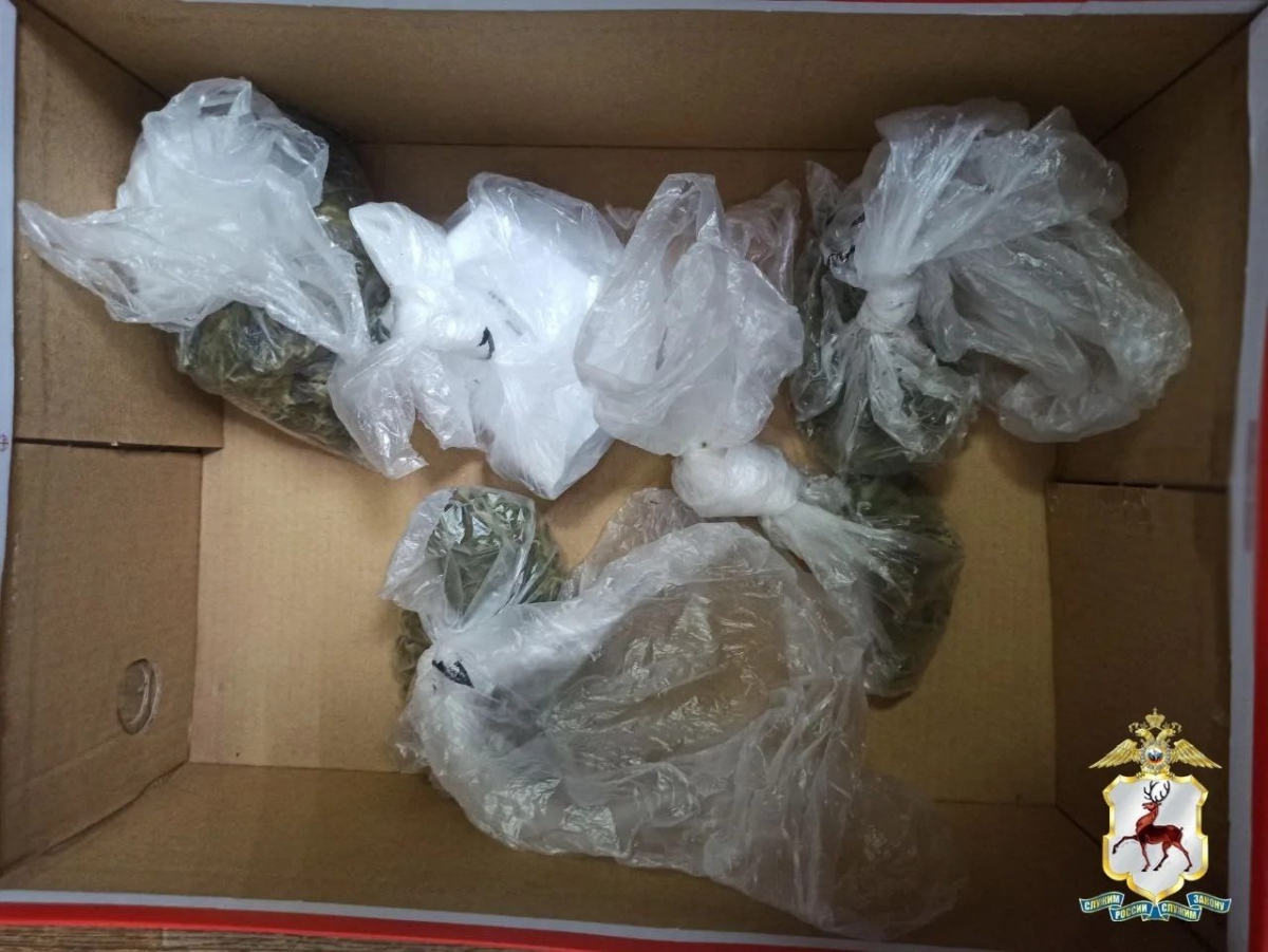 На Бору будут судить мужчину за покушение на сбыт крупной партии марихуаны