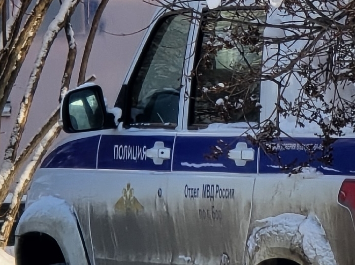 На Бору возбуждено уголовное дело по факту хранения с целью сбыта немаркированной алкогольной продукции