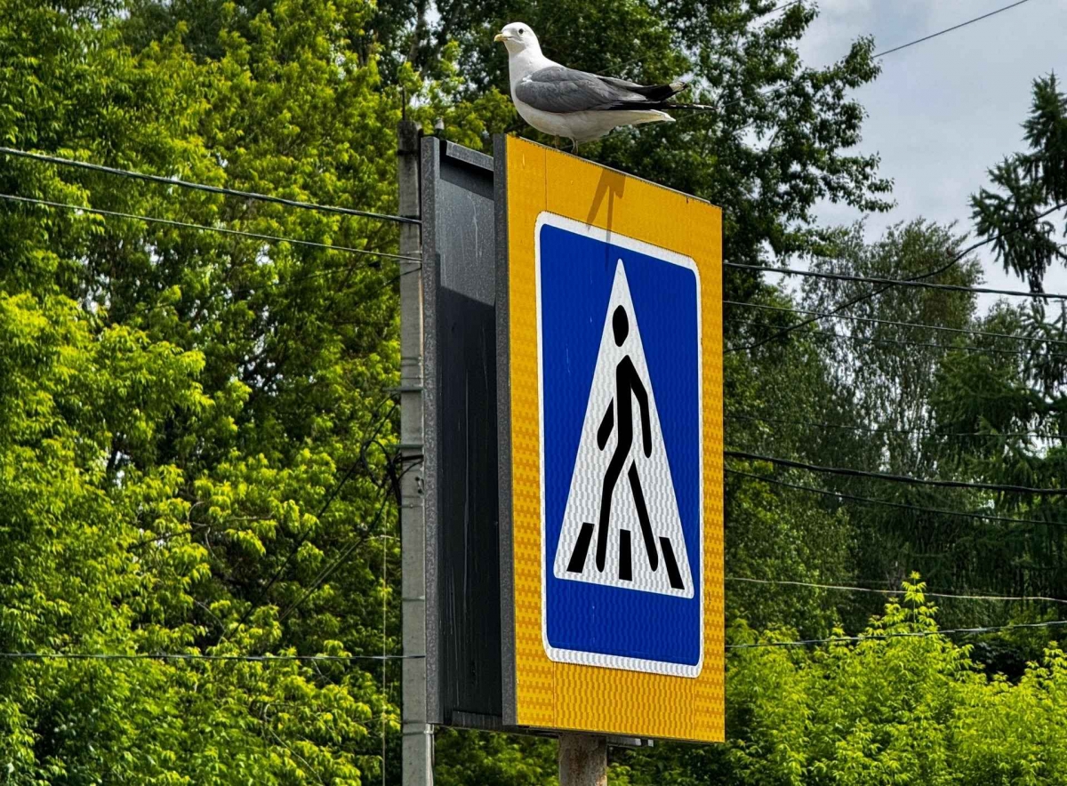 На Бору появятся новые дорожные знаки