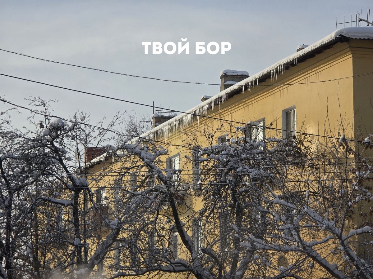 Домовые чаты в Мах станут обязательными с 1 сентября