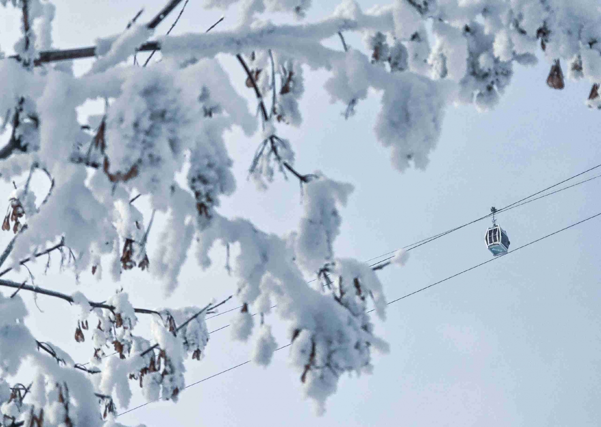 Канатная дорога в цифрах