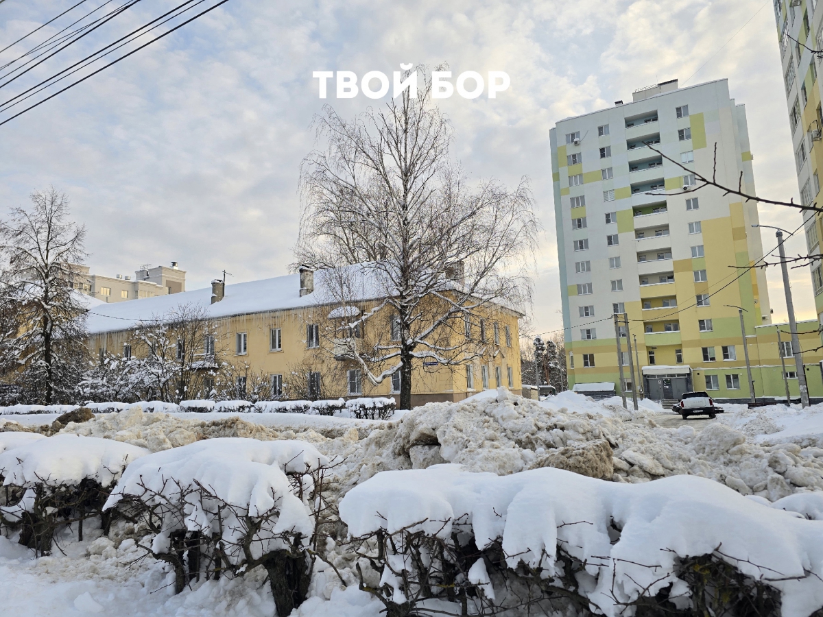 Госжилинспекция дала рекомендацию борчанам