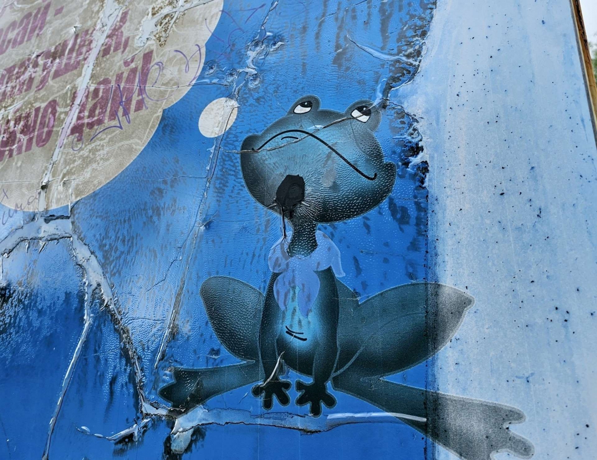 Борчане задали вопрос про благоустройство территории озера Бездонного