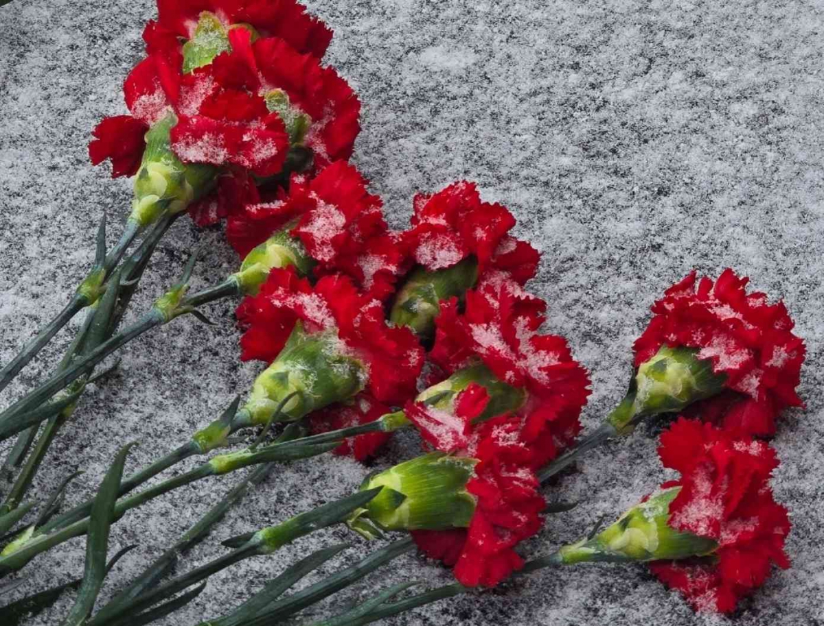 В память о погибших бойцах СВО на Бору установят мемориальные доски