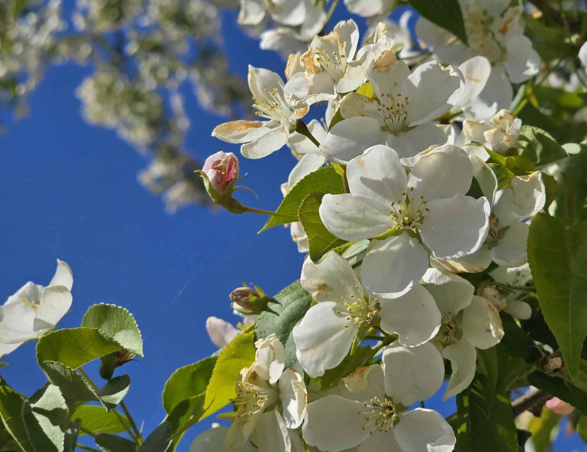 Прогнозы на весну