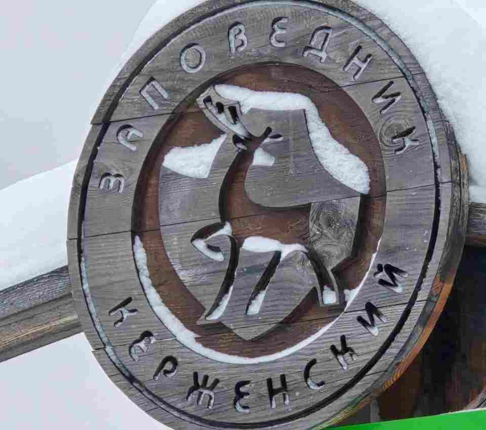 В Керженском заповеднике создадут условия для редких видов