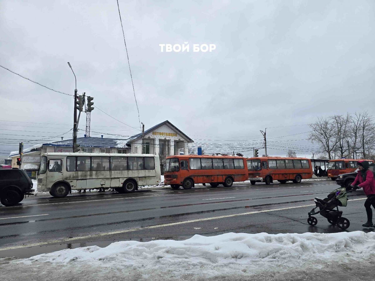 Работа автобусов БорПАП в праздничные дни 7–9 марта