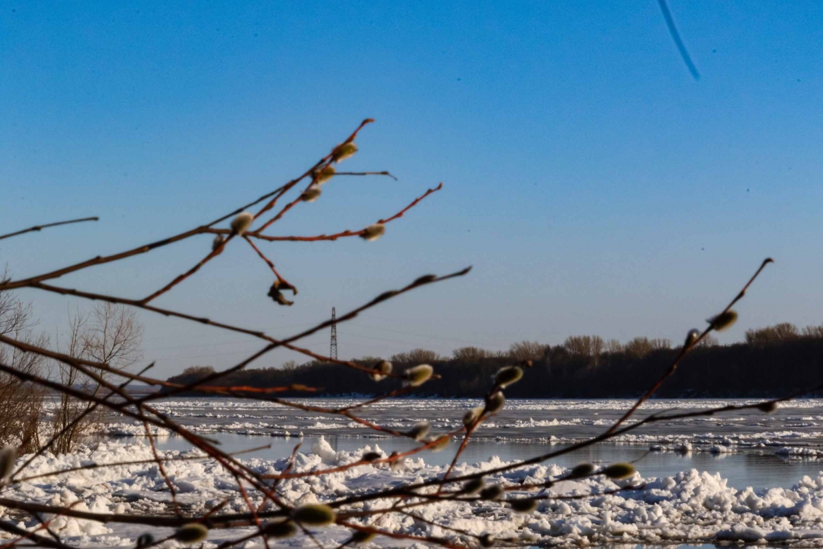 Волга пошла