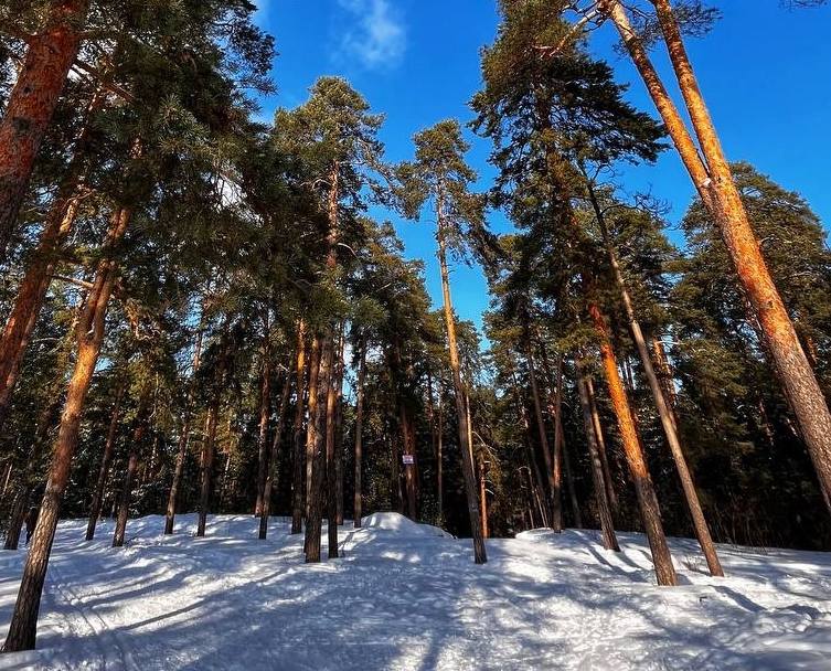 По-настоящему весенняя погода начнётся уже в эту среду