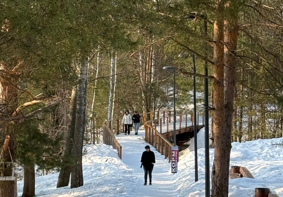 Отключение электроэнергии на Бору 23 марта