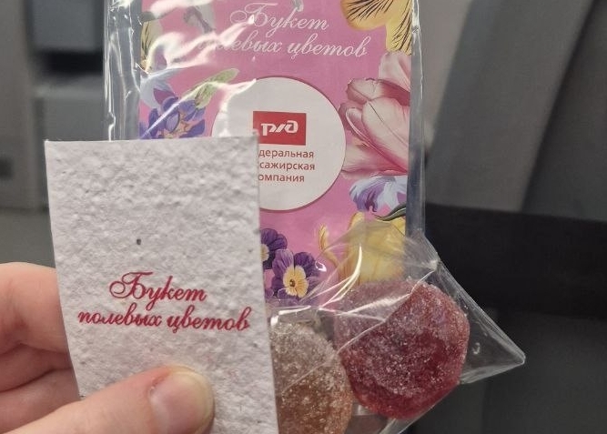 Борчанка удивилась с сюрпризу от РЖД